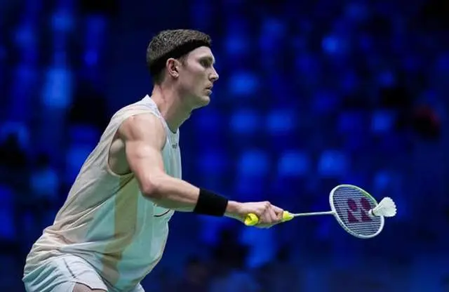 div, artic, 安赛龙似乎